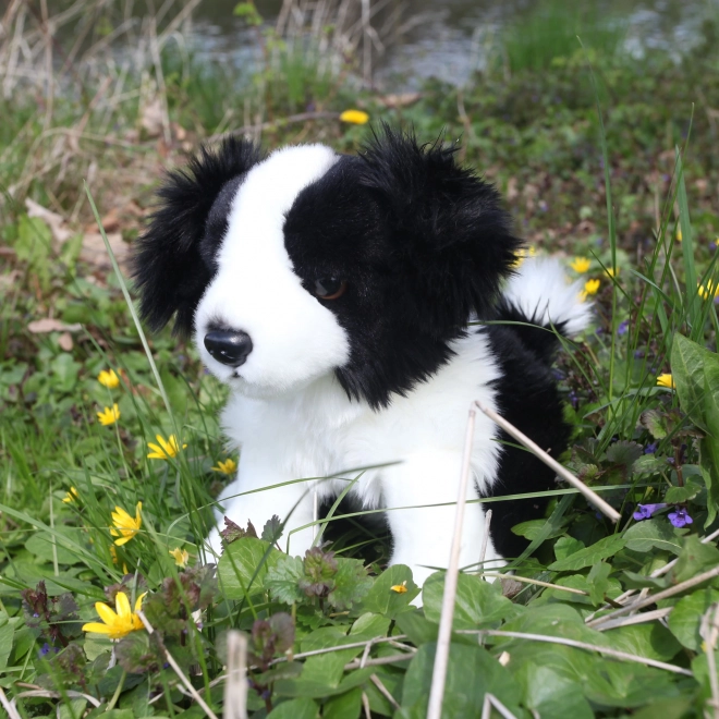 Pluchen Speeltje Border Collie 30 cm van Rappa - Milieuvriendelijk