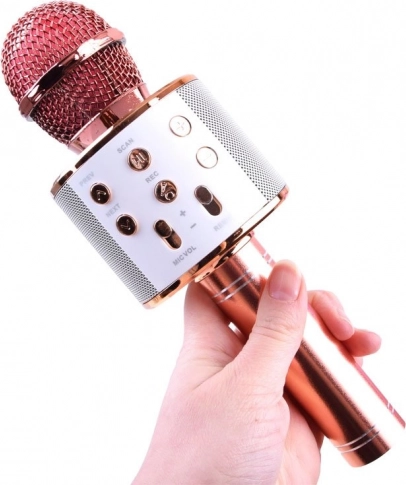 Bluetooth karaoke overal