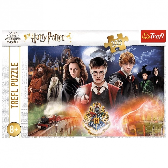 Mysterieus Harry Potter-puzzel 300 stukjes