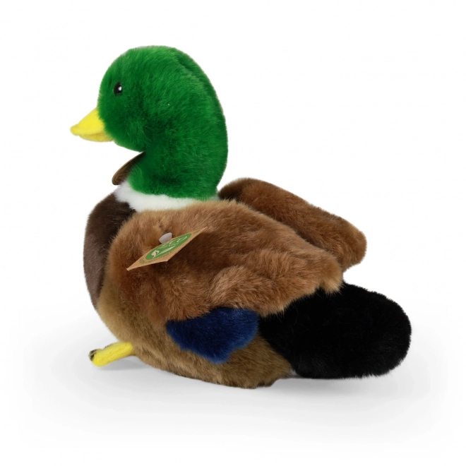 Pluche eend 20 cm MILIEUVRIENDELIJK
