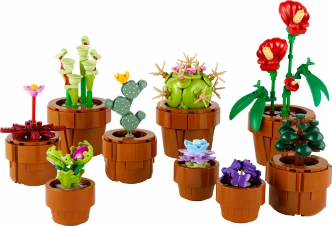 Decoratieve set voor volwassenen