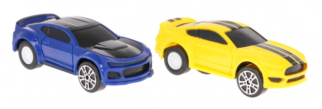 Racebaan voor twee auto's