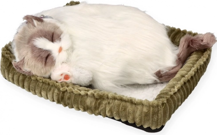 Realistische slaap voor ontspanning