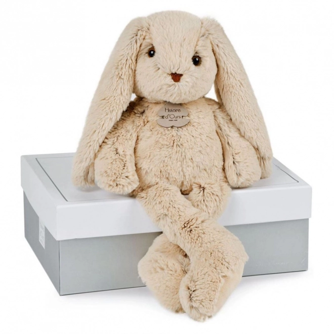 Doudou Histoire d'Ours Pluche Vriend Beige Konijntje 40 cm