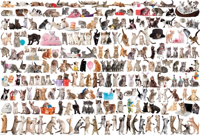 Puzzle EUROGRAPHICS kattenwereld – 2000 stukjes