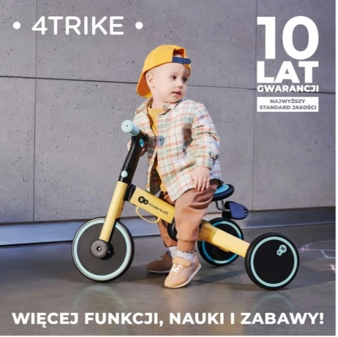 Driewieler 4TRIKE SILVER GREY