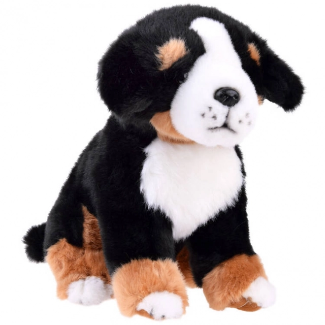 Pluche hond Berner Sennen - zittend 20 cm