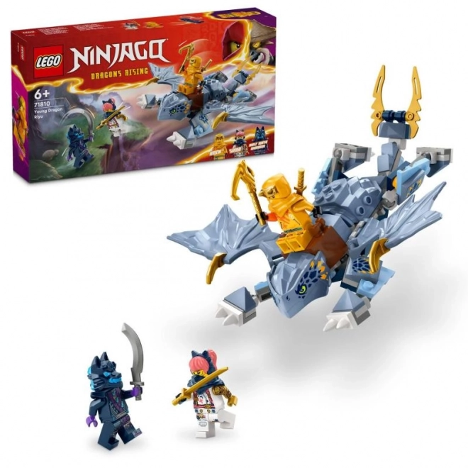Bouwset LEGO Ninjago Draakje Riyu