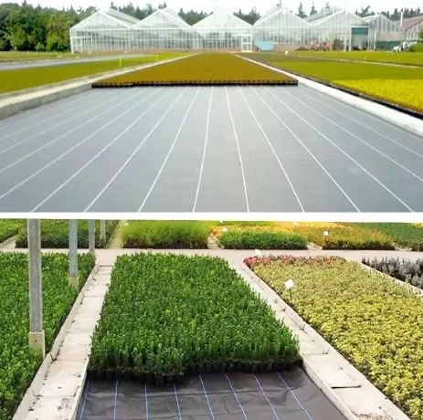zwarte agrotextiel 160 cm x 50 m UV 90g met ankers