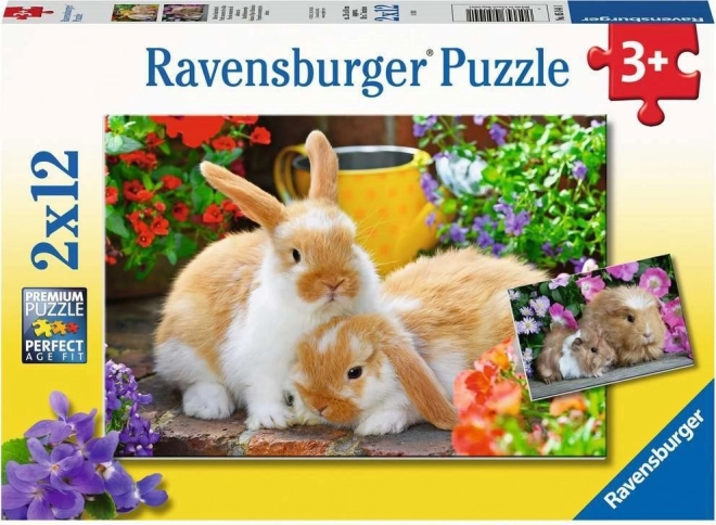 Ravensburger puzzel Knuffeltijd 2x12 stukken