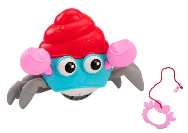 Schroefkrab Kleurrijke Krab Wandelend Interactief
