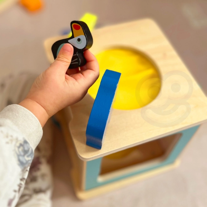 Educatieve Montessori box voor kinderen van 31-36 maanden