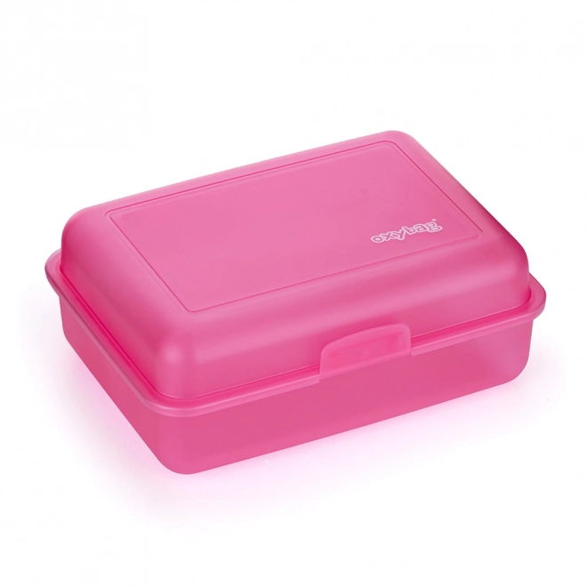 Lunchbox voor kinderen roze