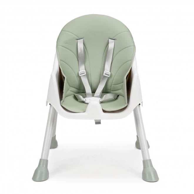 2-in-1 Kinderstoel met 5-puntsgordels ECOTOYS Azura