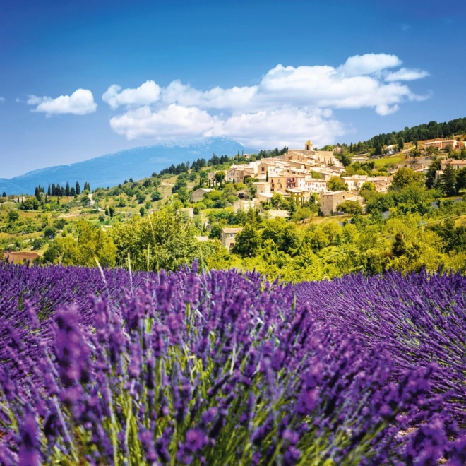 Notitie Kalender Provence 2026