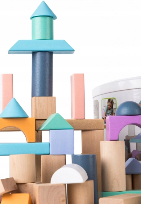 Houten blokken 100 st met emmer inclusief sorteerder Ecotoys