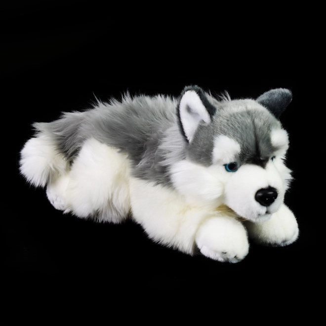 Rappa Pluchen hond husky liggend 30 cm