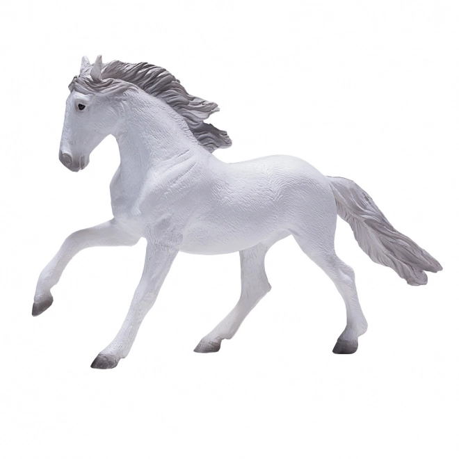 Mojo Lusitaanse Witte Paard