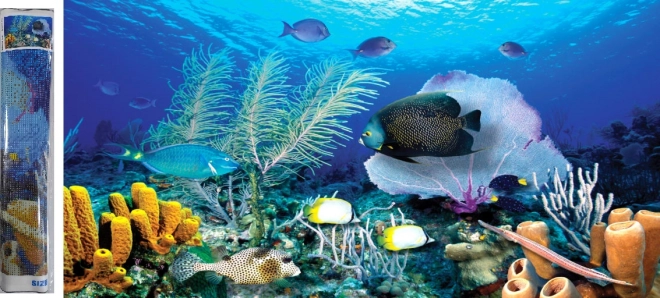 NORIMPEX Diamantschilderen Oceaan 80x40cm