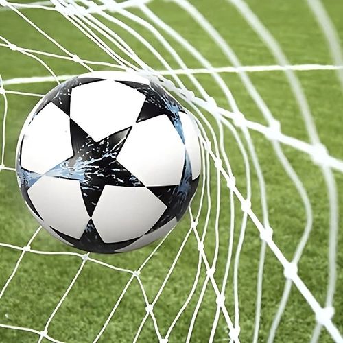 Net voor metalen voetbaldoel Trizand
