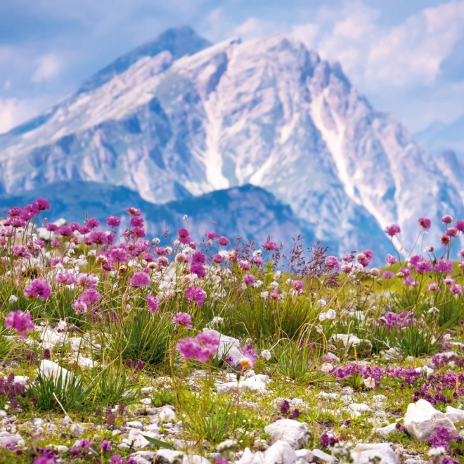 Notitiekalender Alpen 2026