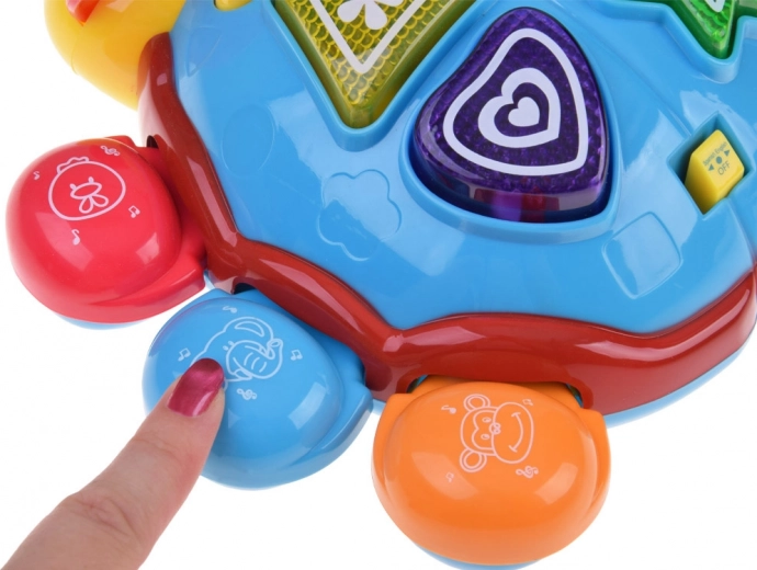 Leert kleuren en dieren