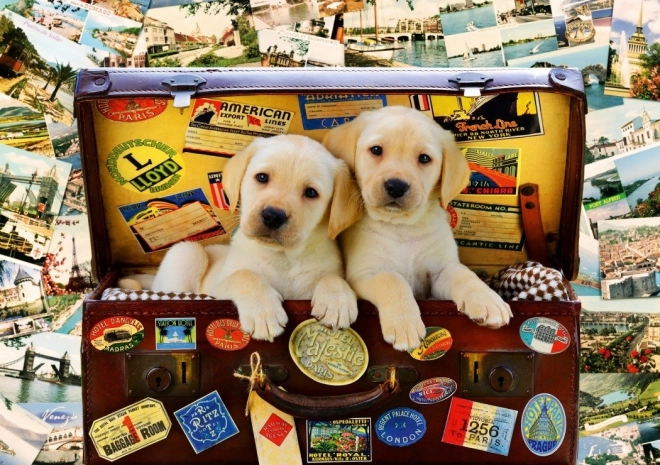 Puzzel Reislustige puppy’s 1000 stukjes