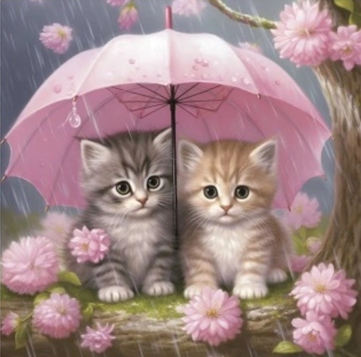 Diamant schilderen – twee kittens