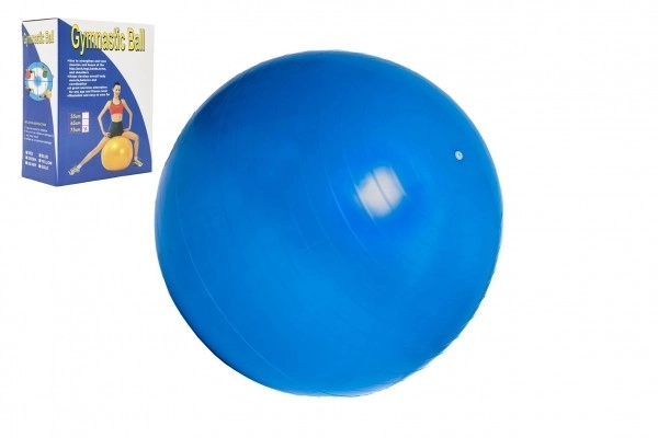 Gymnastiekbal 75cm revalidatie ontspannend in doos 16x22cm