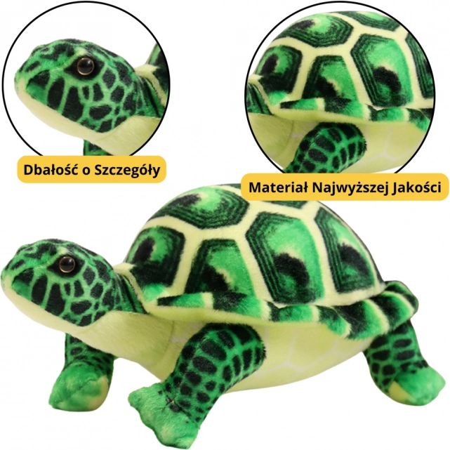 Pluchen Schildpad Groene Speelgoed 25cm