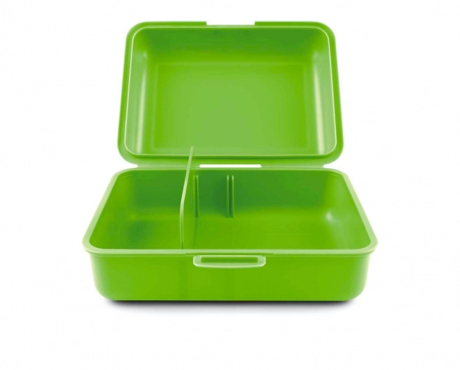 Lunchbox BAAGL Dinosaurussen