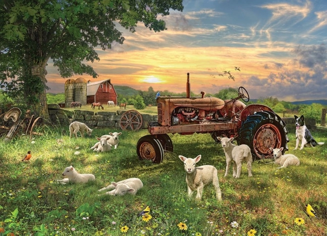 Puzzel Veld bij zonsopgang van Cobble Hill 1000 stukjes