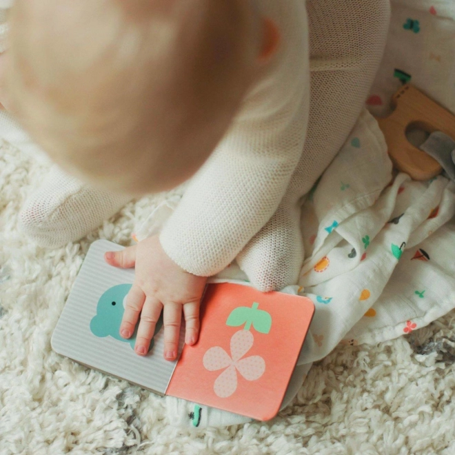 Petit Collage Cadeauset voor baby olifant
