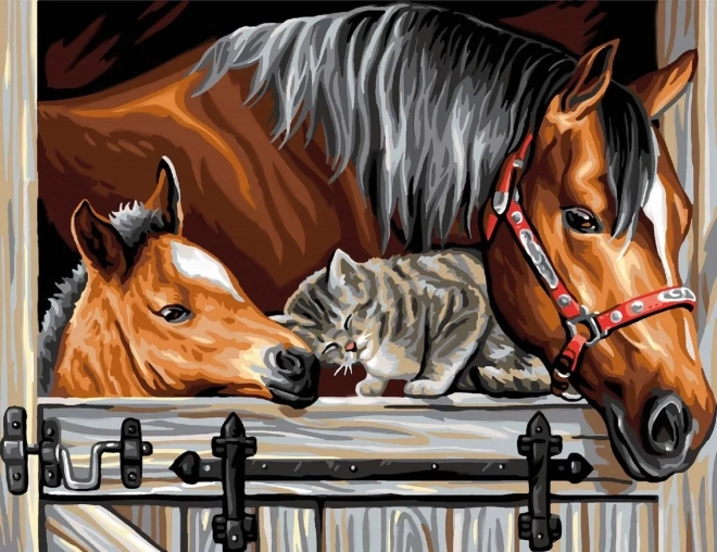 Set voor diamant schilderen - paarden met kat