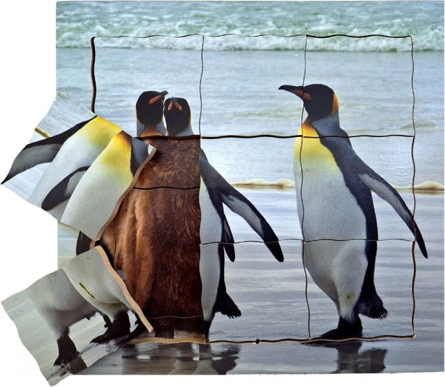 Just Jigsaws Houten laagjespuzzel Pinguïn en zijn levenscyclus 19 stukken