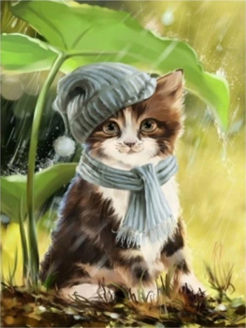 Diamantschilderen Kitten met muts en sjaal
