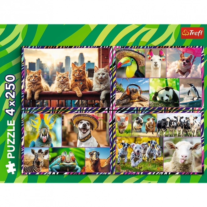Puzzel 4x250 stukjes Grappige dieren