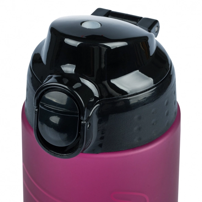 BAAGL Tritan flessen voor drinken Ruby, 700 ml