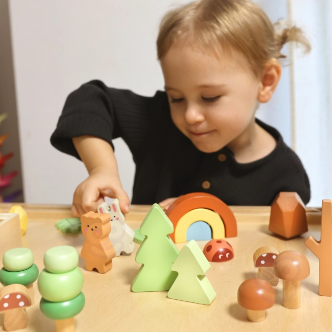 Bosset met houten blokken Tooky Toy