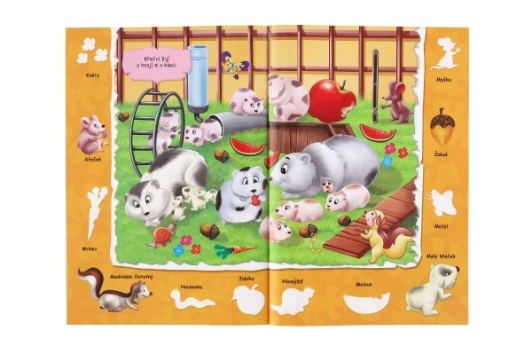 Boek Kleurrijke Wereld van Dieren met Stickers