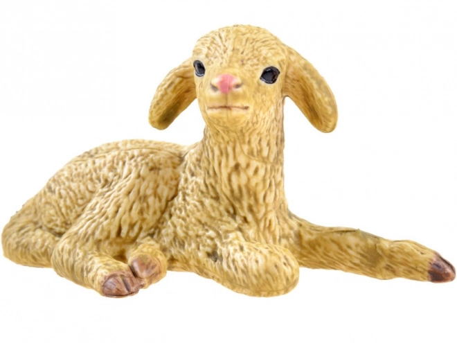 Schapen Geit Varken Huisdier ZA3384