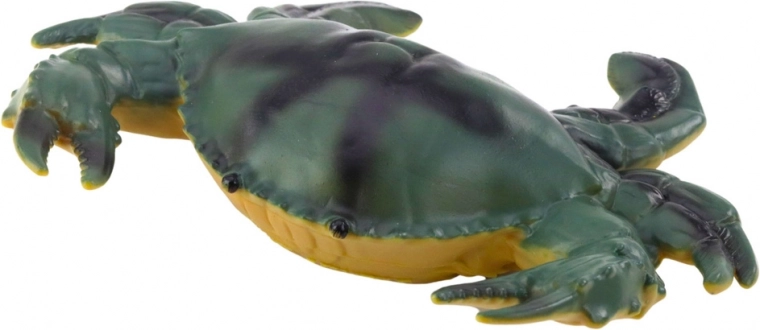 Realistische kleuren en verschillende soorten zeedieren