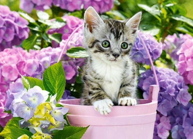 Puzzel 200 stukjes – kitten in mandje