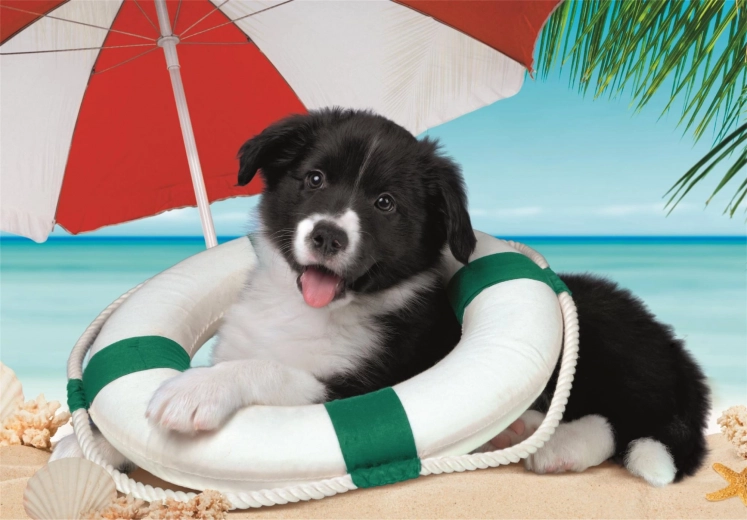 Leuk zomers strandthema