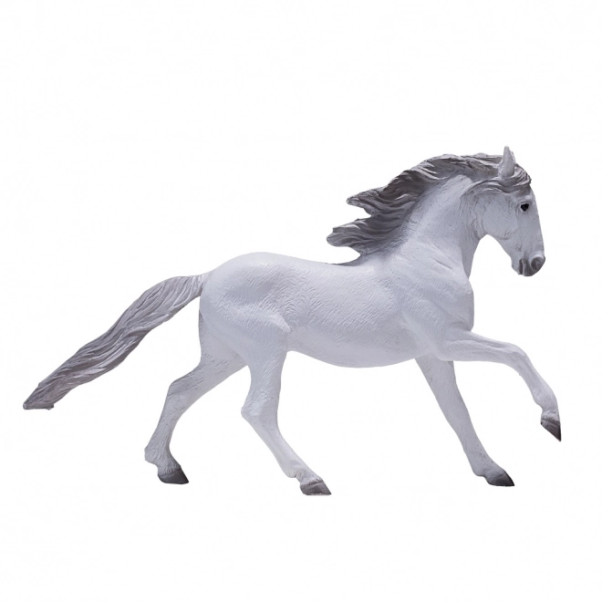 Mojo Lusitaanse Witte Paard