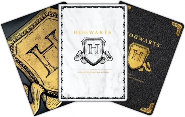 Set notitieblokken A6 HARRY POTTER