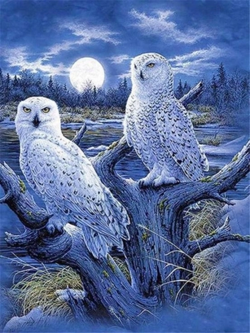Diamanten mozaïek - Witte uilen