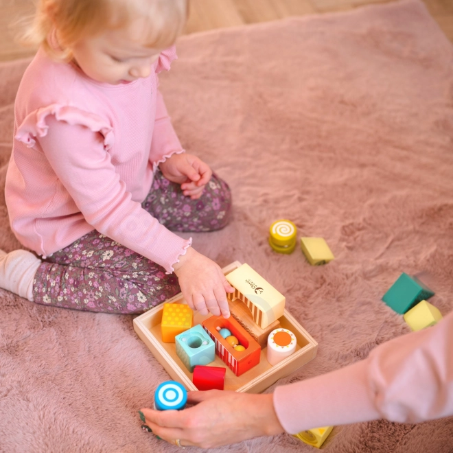 Houten sensorische blokken Classic World Montessori