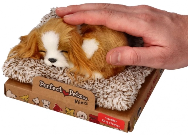 Slapende Puppy Cavalier King Charles Perfect Petzzz