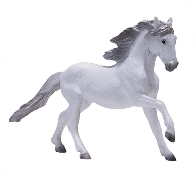 Mojo Lusitaanse Witte Paard